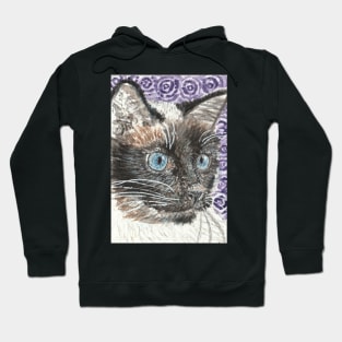 Siamese cat  face  blue eyes Hoodie